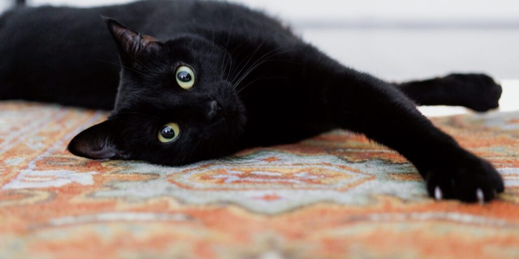 For startups and venture capitalists, superstition isn't just for Friday the 13th